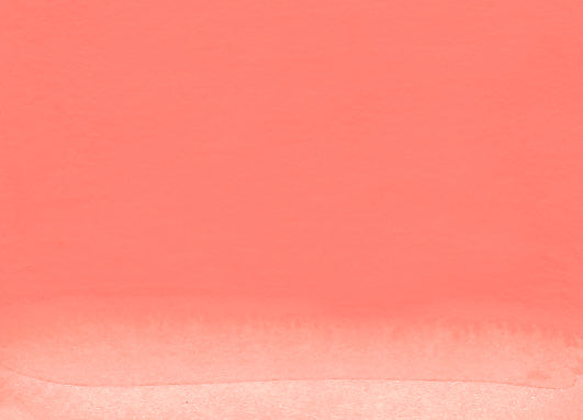 Nicker Poster Colour 40ml 06 Coral