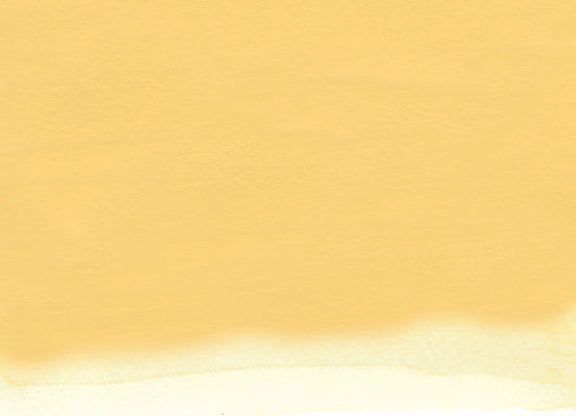 Nicker Poster Colour 40ml 29 Naples Yellow