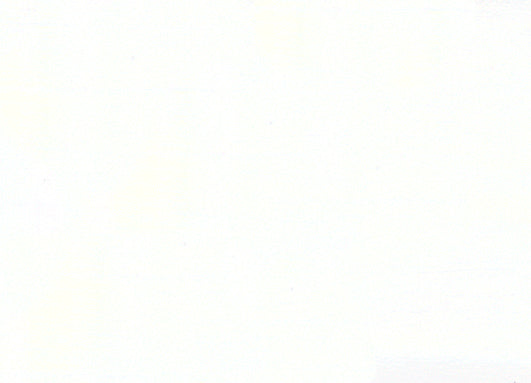 Nicker Poster Colour 40ml 51 White