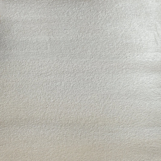 Winsor & Newton Cotman W/C 8ml Silver