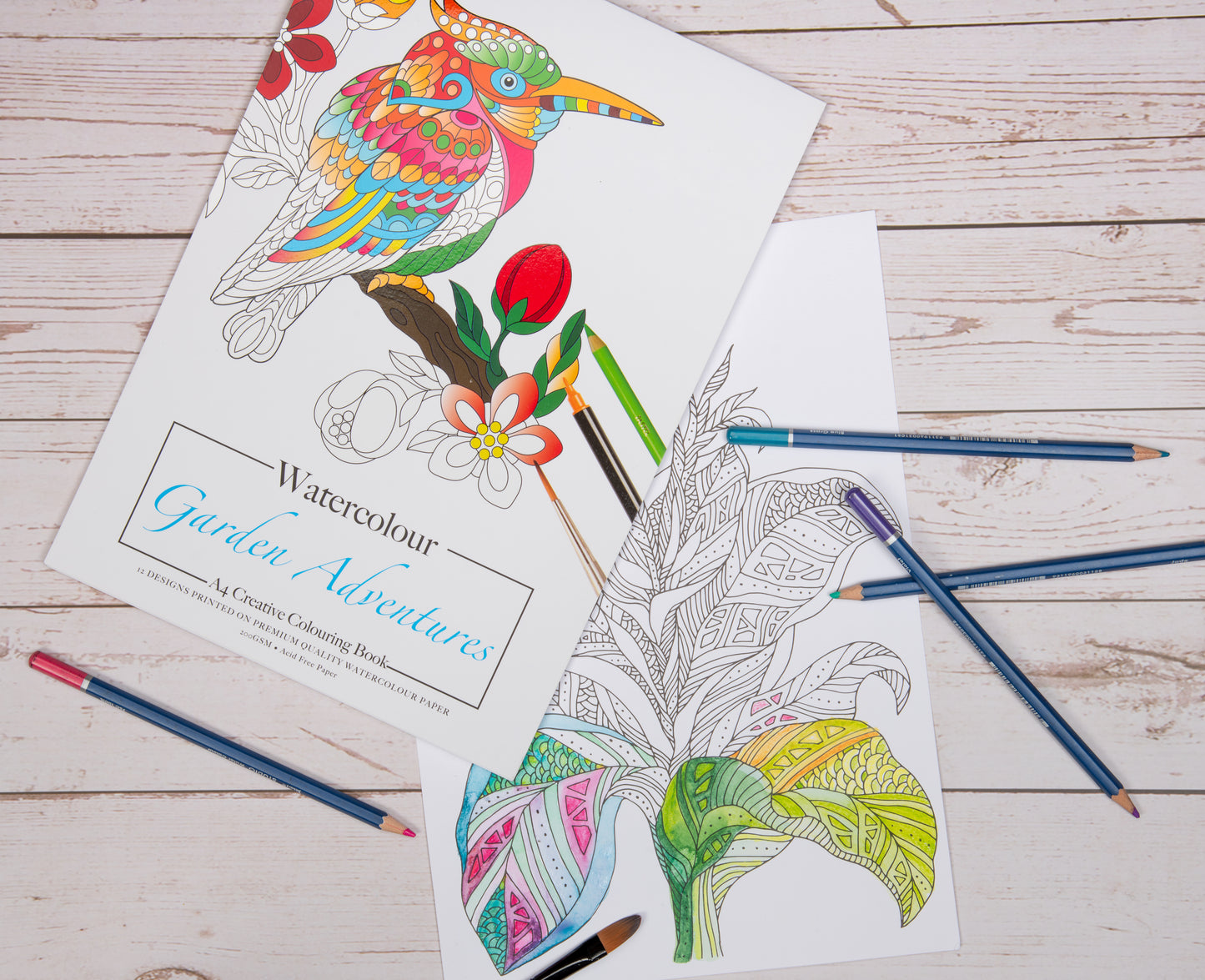 Colouring Book Watercolour 200gsm 12 Sheets - Garden Adventures