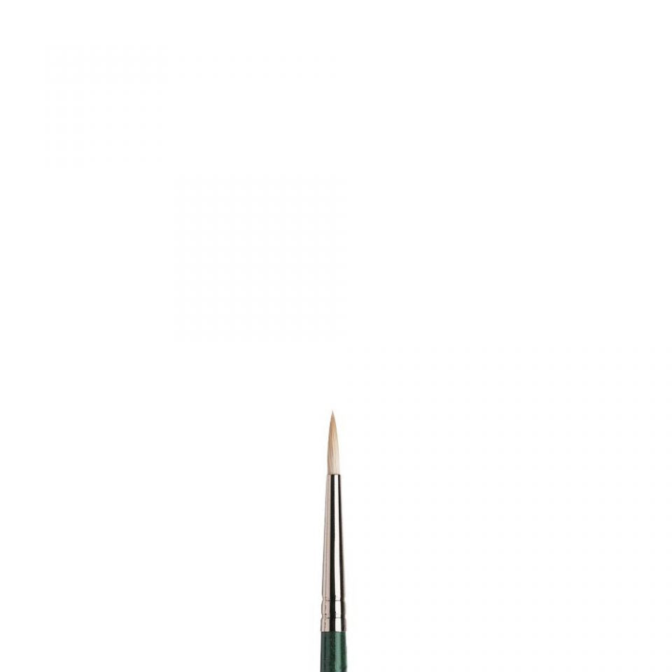 Winsor & Newton Winton Hog Round Size 2