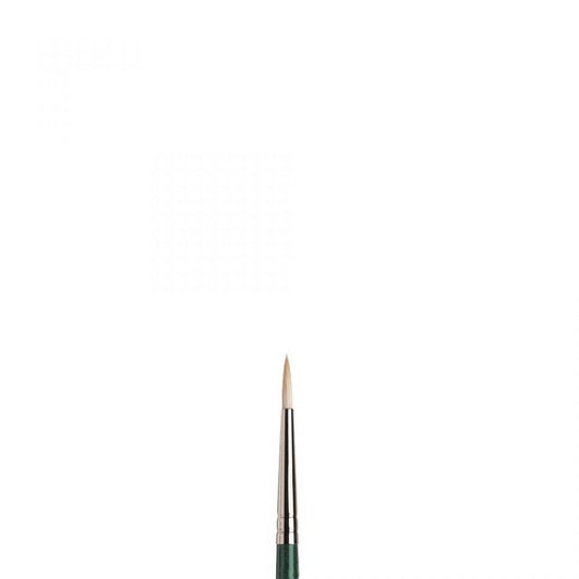 Winsor & Newton Winton Hog Round Size 2