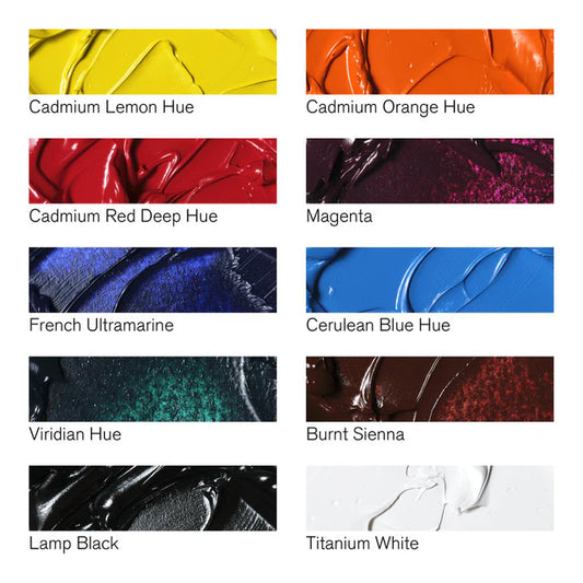 W & N Winton Oil Set 10 x 12ml