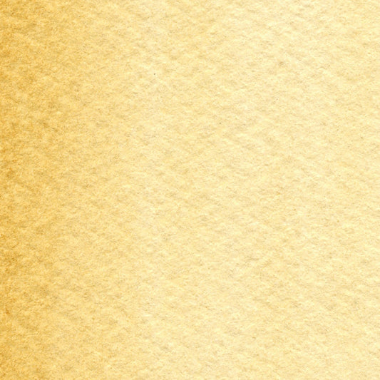 Maimeri Blu Watercolour 12ml Series 1 Raw Sienna 161