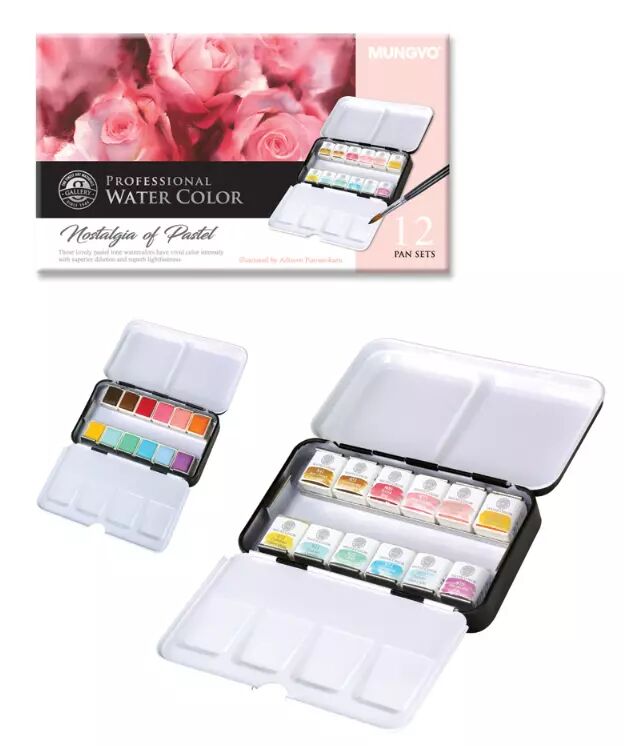 Mungyo Professional Watercolour Pastel Tin 12 x 1/2 Pans