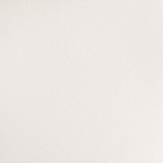 Winsor & Newton Cotman W/C Half Pan Chinese White