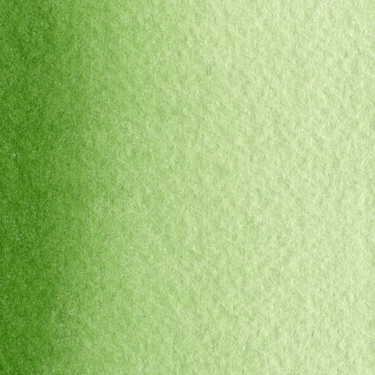 Maimeri Blu Watercolour 12ml Series 1 Sap Green 358
