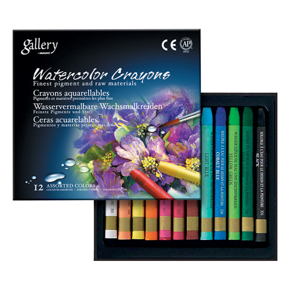 Mungyo Gallery Watercolour Crayon 12 Set