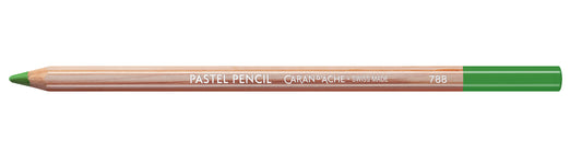 Caran d'Ache Pastel Pencil 234 Middle Moss Green 30%