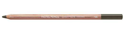 Caran d'Ache Pastel Pencil 495 Slate Grey