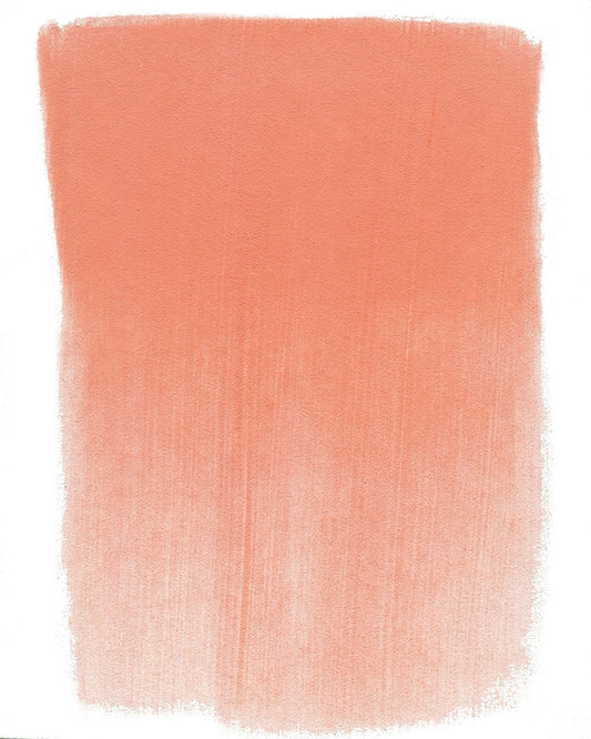 PanPastel Vermilion Medium 310.6