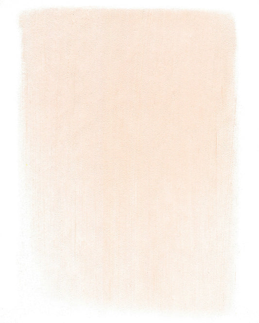 PanPastel Vermilion Tint 310.8