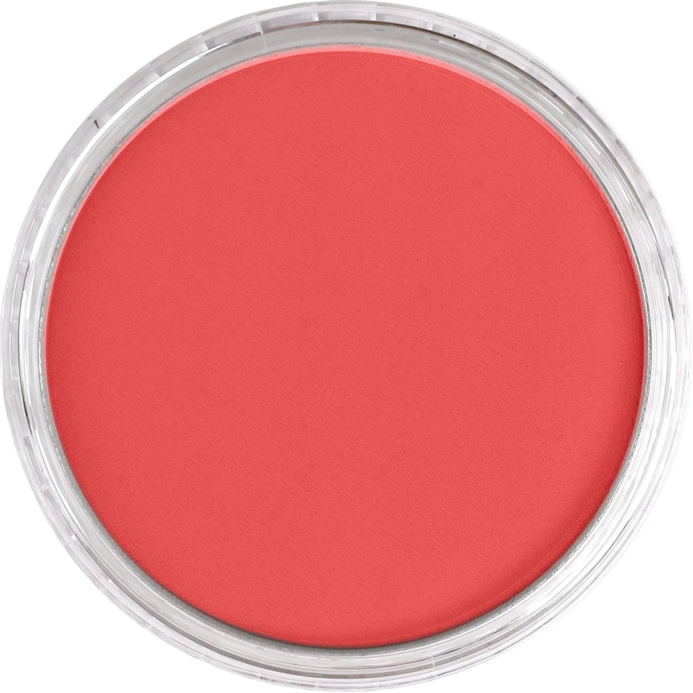 PanPastel Permanent Red Medium 340.6