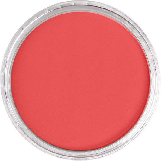 PanPastel Permanent Red Medium 340.6