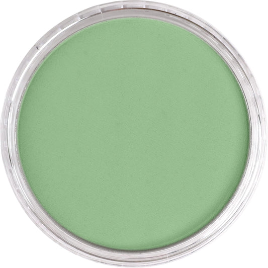 PanPastel Chromium Oxide Green Light 660.7