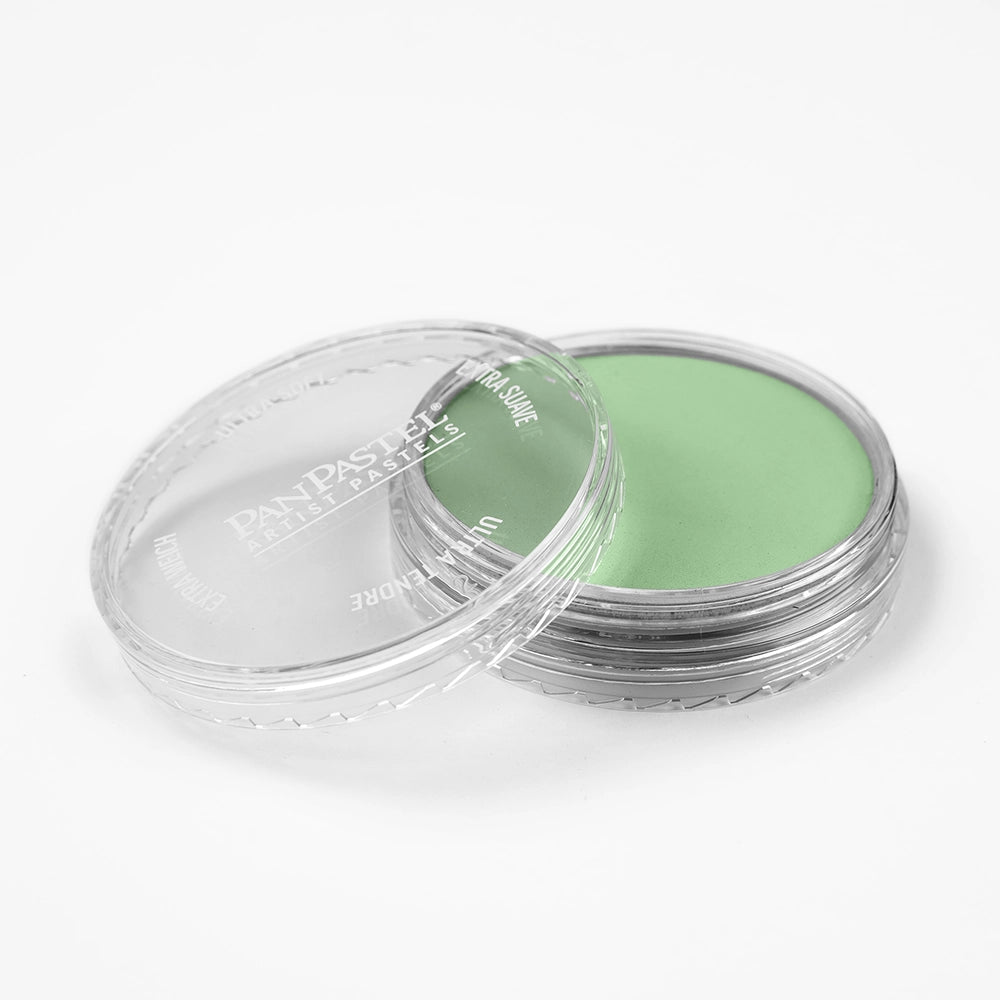 PanPastel Chromium Oxide Green Light 660.7