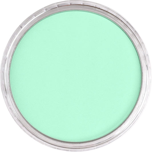 PanPastel Blue Green Tint 670.8