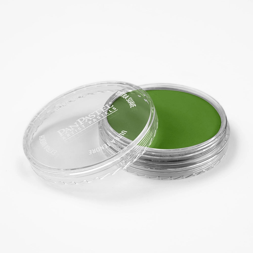 PanPastel Yellow Green Shade 690.3