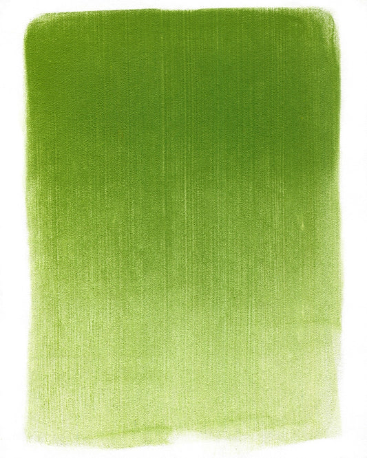 PanPastel Yellow Green Shade 690.3