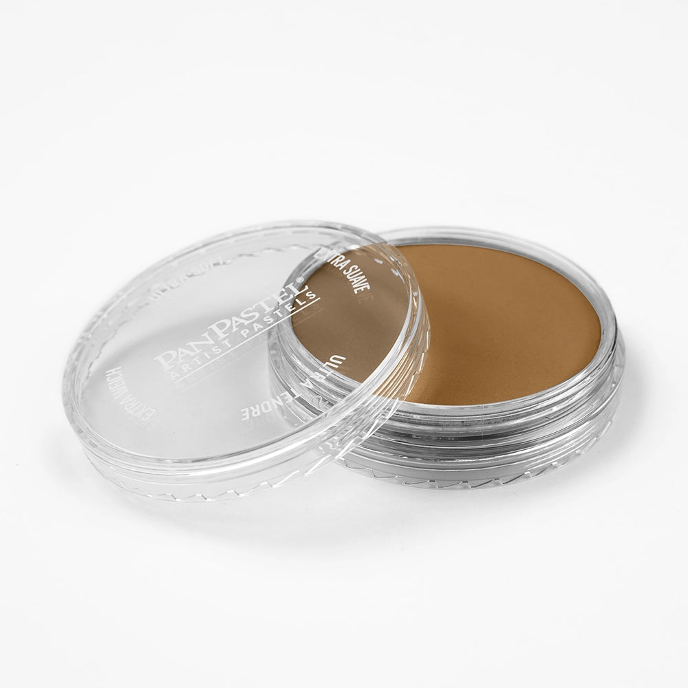 PanPastel Burnt Umber Medium 760.6