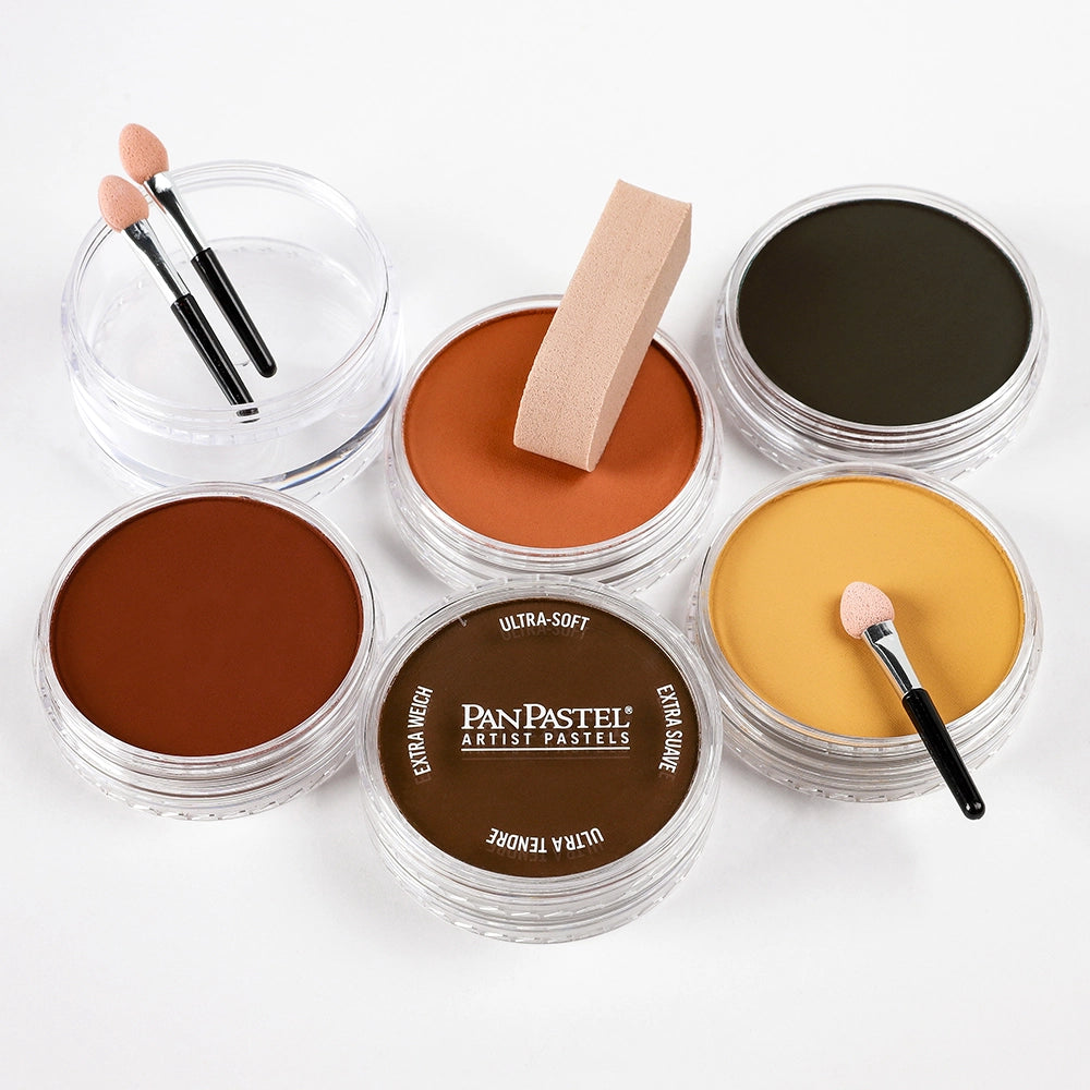 PanPastel 5 Earth Colors 1 Lid Set