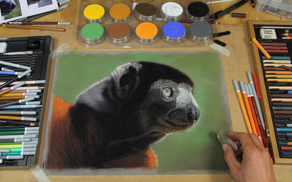 PanPastel 10 Wildlife Painting - Jason Morgan Set