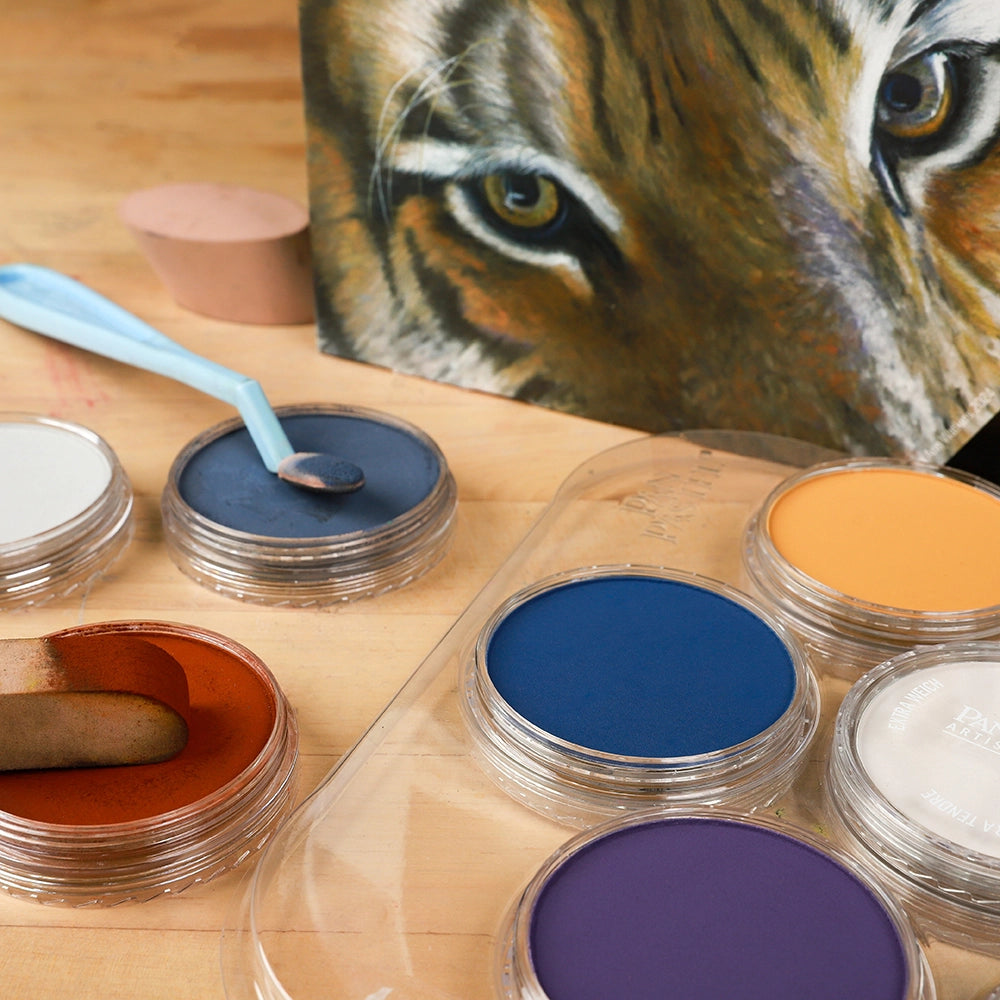 PanPastel 10 Animal Art - Lisa Ann Watkins Set