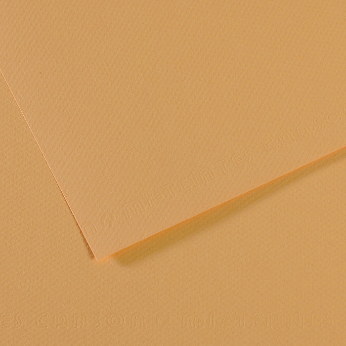 Mi Teintes 160gsm Pastel Paper 50 x 65cm Pkt 10 Oyster 340