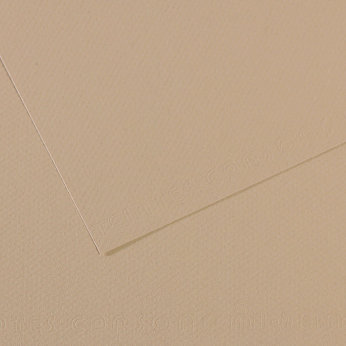 Mi Teintes 160gsm Pastel Paper 50 x 65cm Pkt 10 Pearl 343