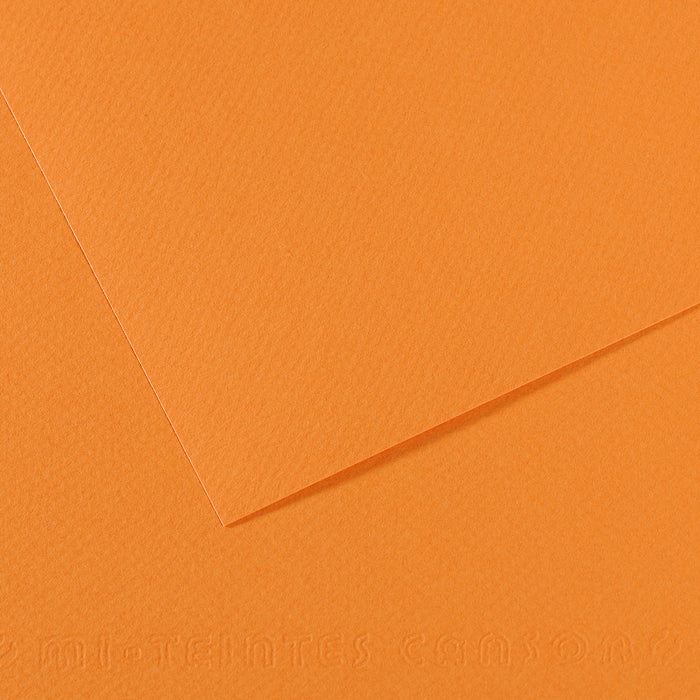 Mi Teintes 160gsm Pastel Paper 50 x 65cm Pkt 10 Buff 384
