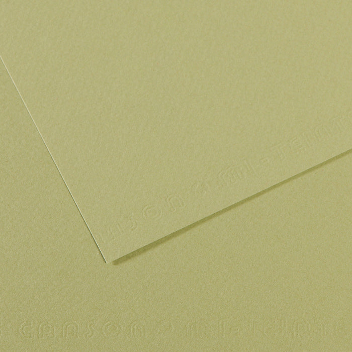 Mi Teintes 160gsm Pastel Paper 50 x 65cm Pkt 10 Light Green 480