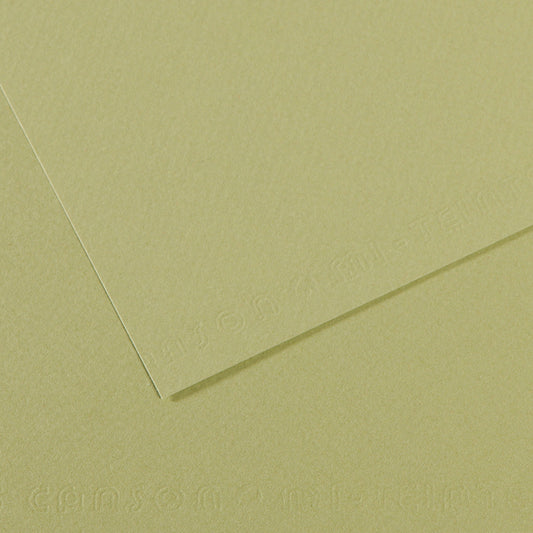 Mi Teintes 160gsm Pastel Paper 50 x 65cm Pkt 10 Light Green 480