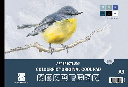 Art Spectrum Colourfix Original Pad A3 Cool 12 Sheets