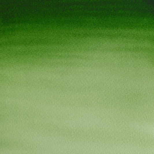 Winsor & Newton Cotman W/C 8ml Hooker's Green Light