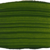 M Graham Oil 37ml Series 5 Sap Green Permanent (Online Only)