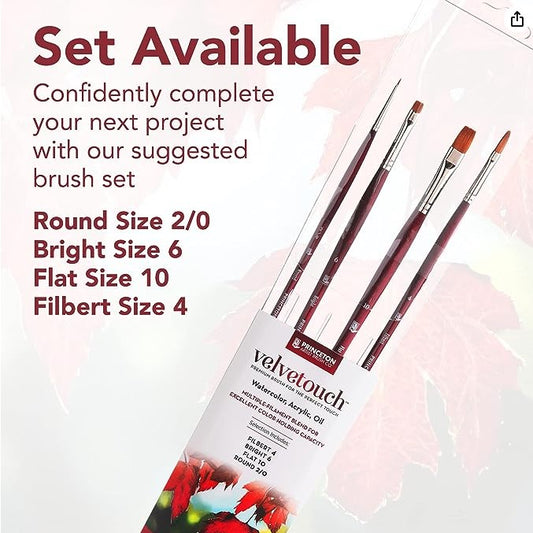 Princeton Velvetouch Synthetic Long Handle Professional 4 Piece Set