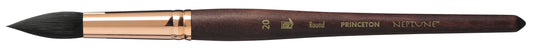 Princeton Neptune Round Size 20