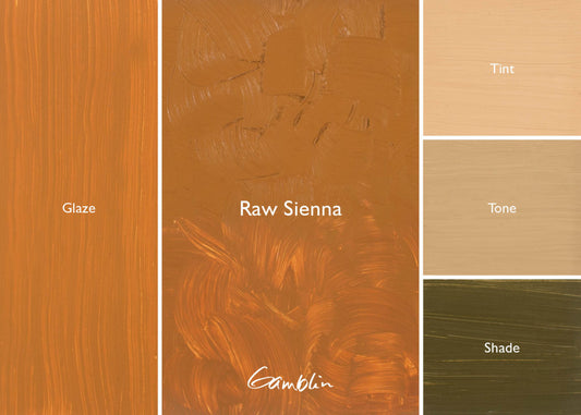 Gamblin Artist Oil 37ml Series 1 Raw Sienna