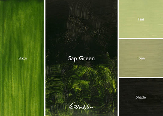 Gamblin 1980 Oil Colour 37ml Series 2 Sap Green