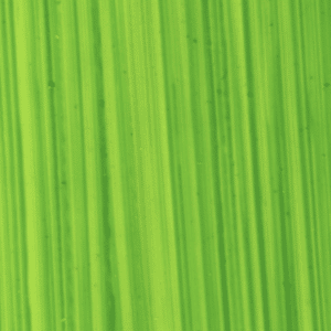 Michael Harding Oil 40ml Series 1 Bright Green Lake