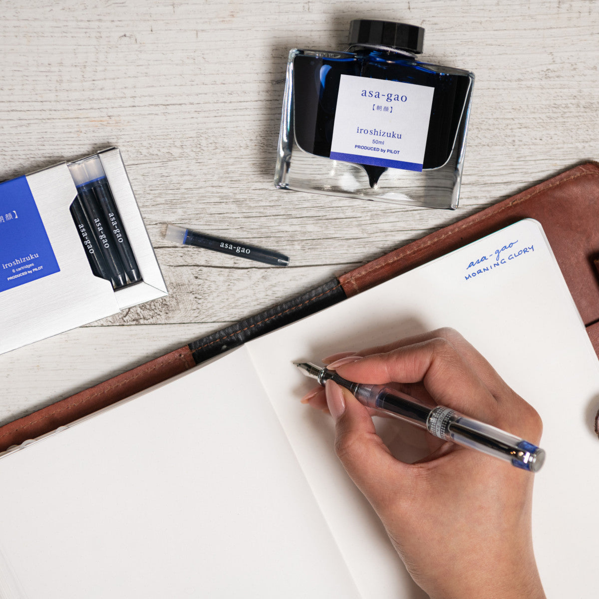 Pilot Iroshizuku Ink Fountain Pen Cartridges Asa-gao / Morning Glory 6 Pack