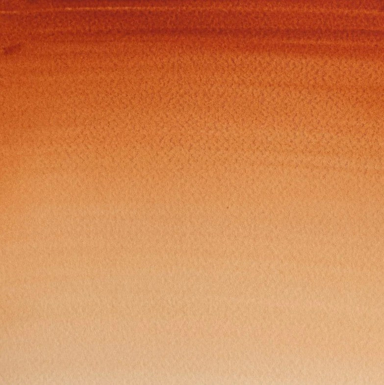 Winsor & Newton Cotman W/C 8ml Burnt Sienna