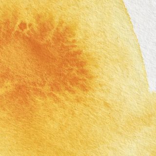 Winsor & Newton Artists' Watercolour 5ml Cadmium Yellow Deep