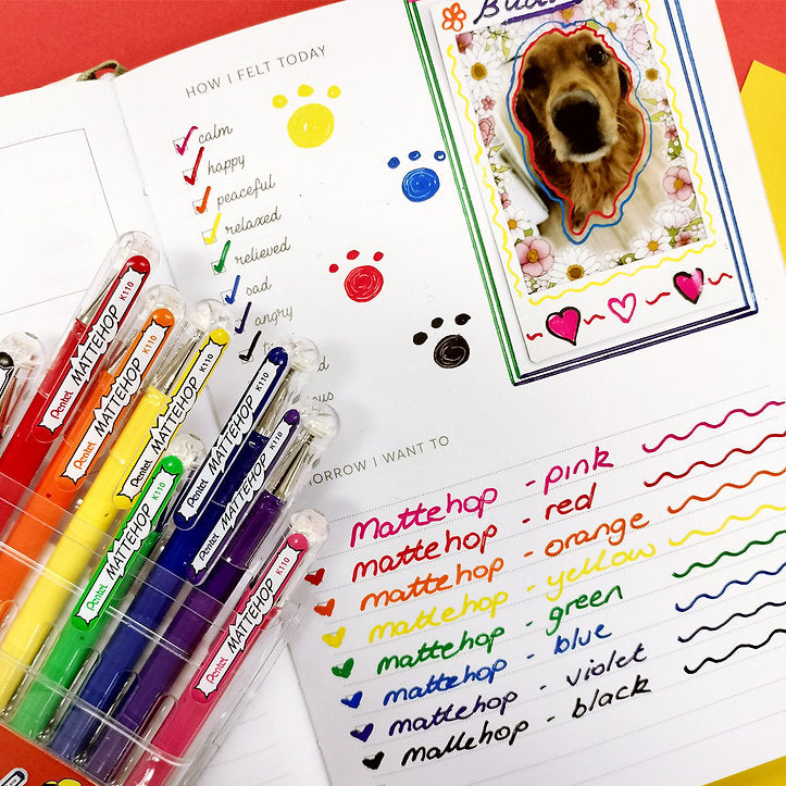 Pentel MatteHop Gel Pen 1.0mm Assorted 8 Set