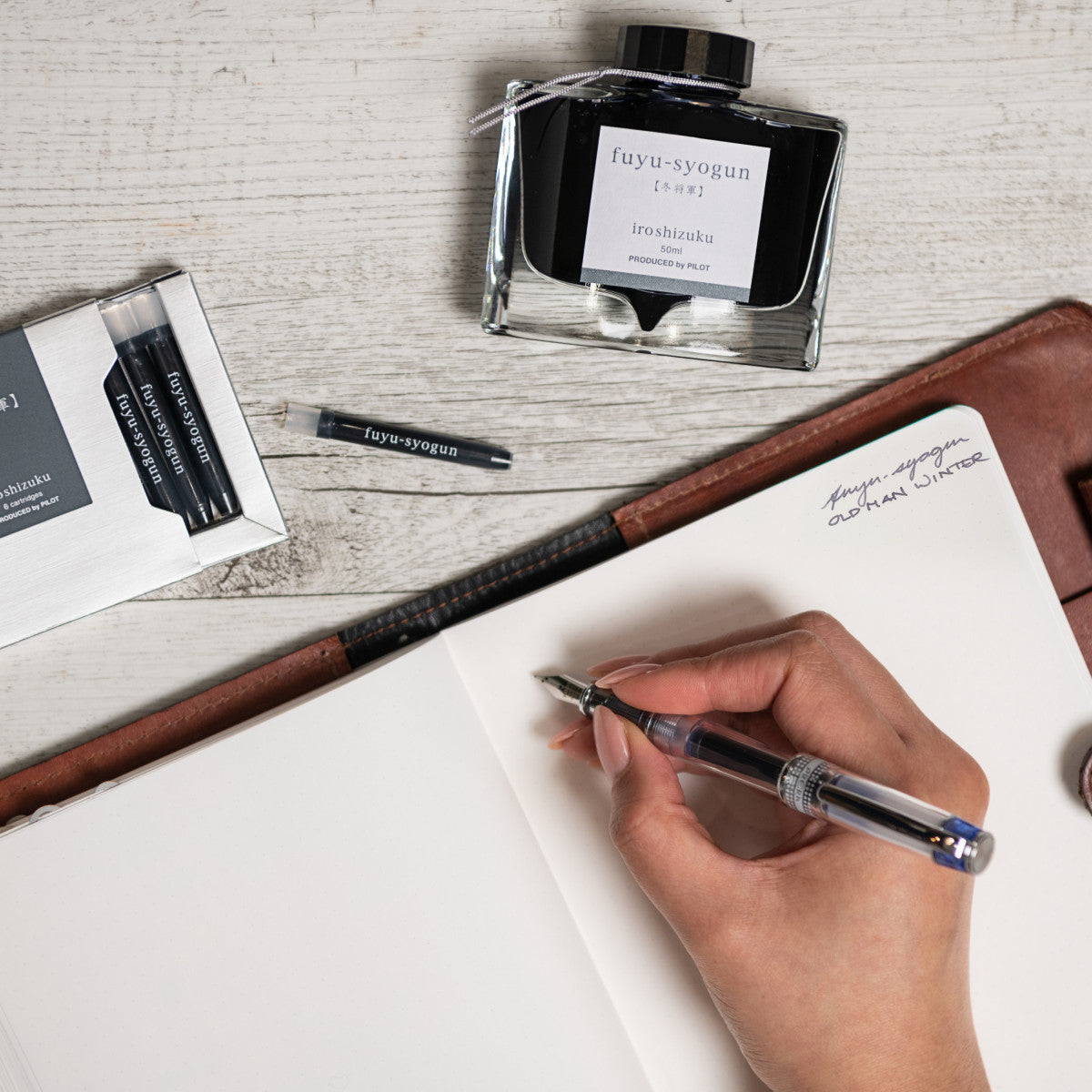 Pilot Iroshizuku Ink Fountain Pen Cartridges Fuyu-syogun / Old Man Winter 6 Pack