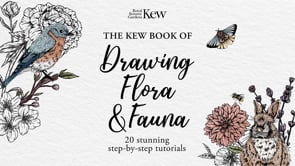 Drawing Flora & Fauna Book By Joy-Louise Robinson