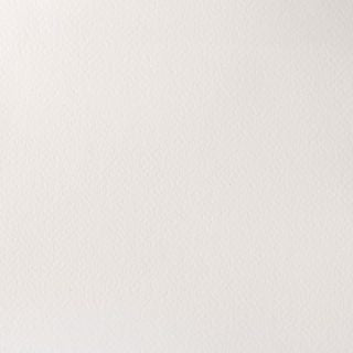 Winsor & Newton Artists' Watercolour 14ml Titanium White (Opaque)