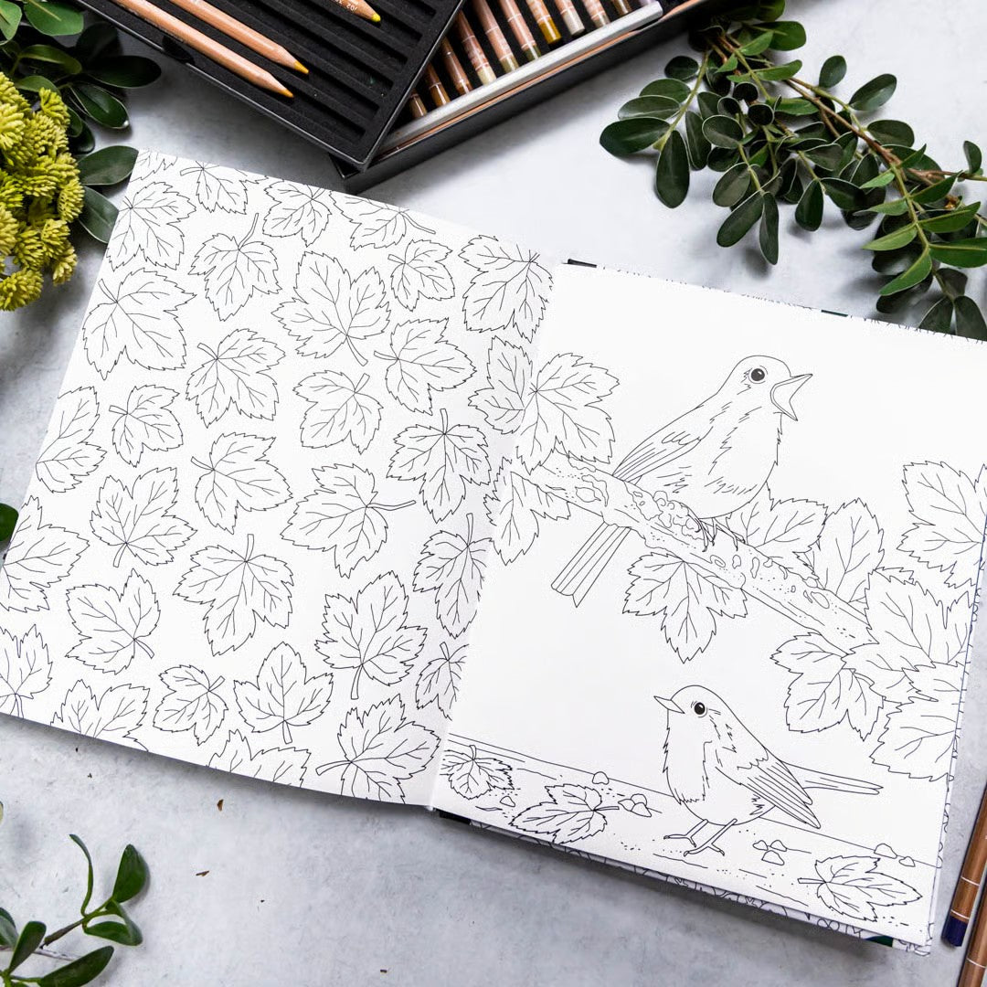 Vibrant Wilds Adult Colouring Book by Sarah Renae Clark