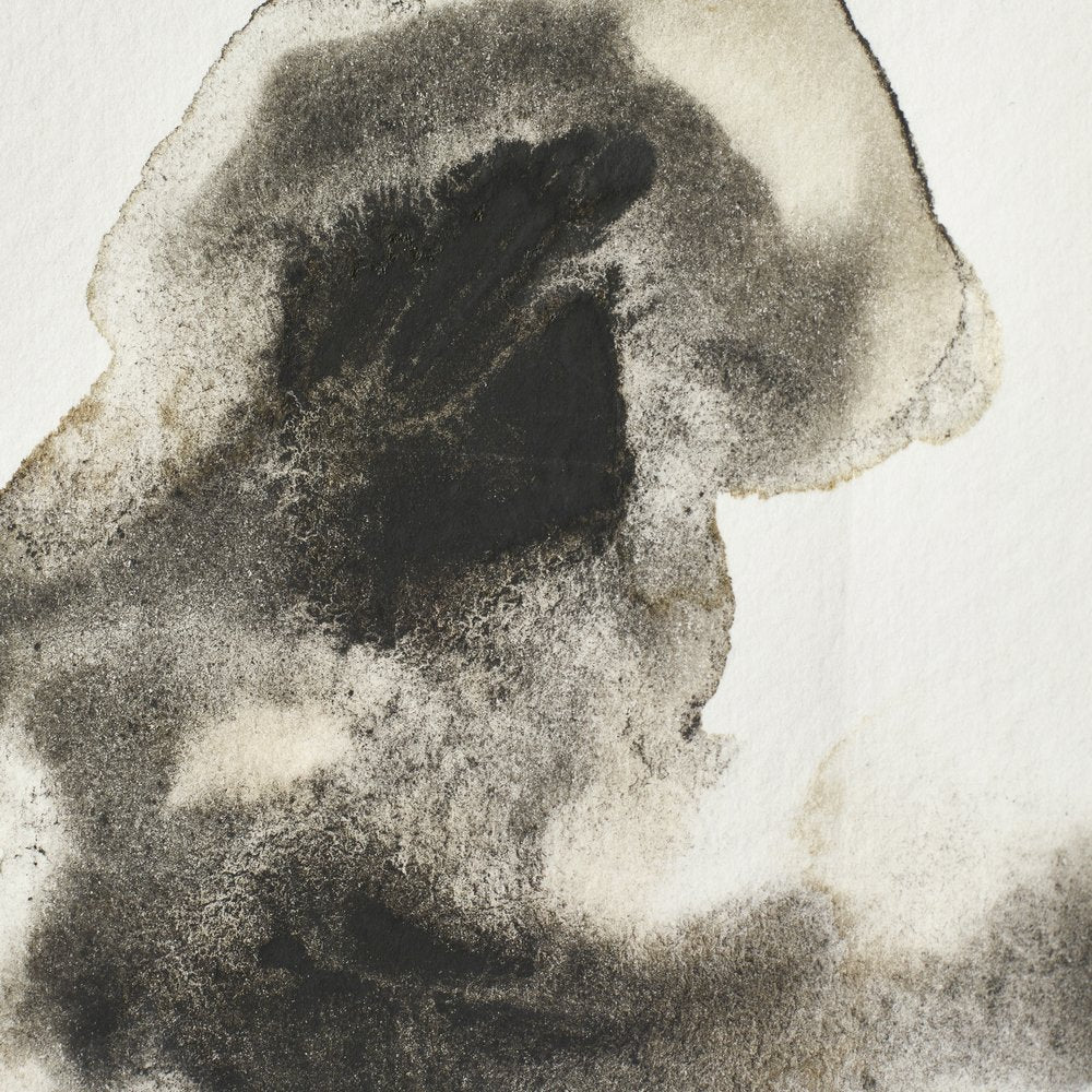 Winsor & Newton Artists' Watercolour 5ml Ostwald Grey